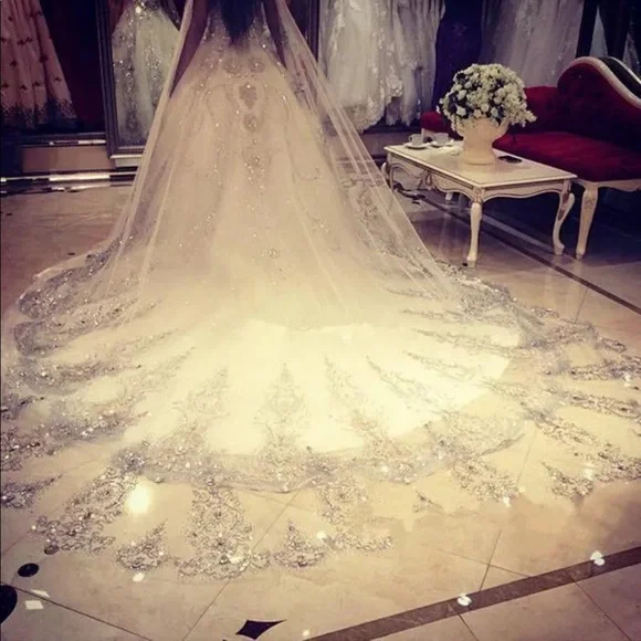 Pink Magnolia | Accessories | New Beautiful Cathedral Veil  display picture 1
